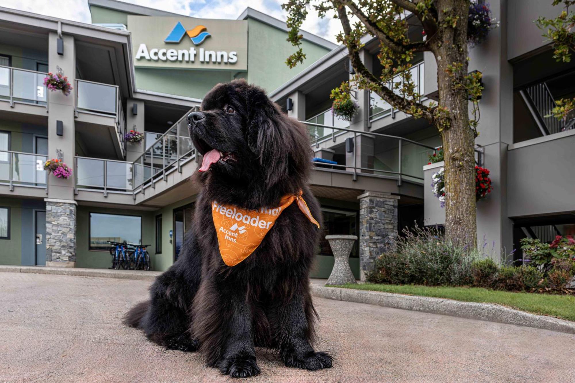 Accent Inns Vancouver Airport Richmond Exteriör bild